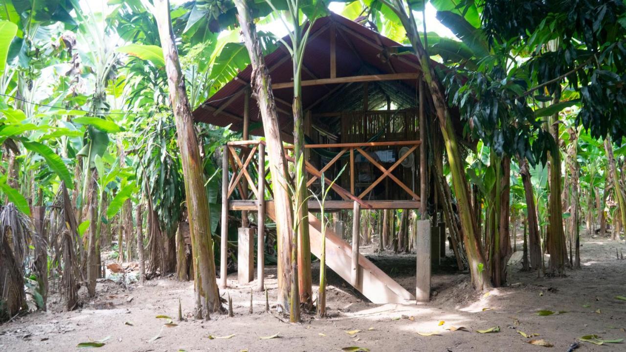 Guachaca La Playitaホステル エクステリア 写真