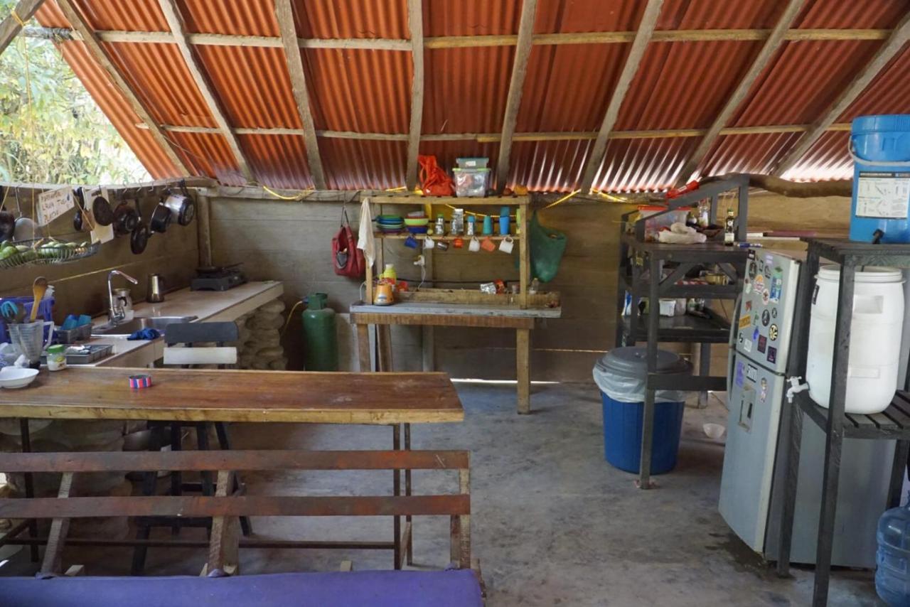 Guachaca La Playitaホステル エクステリア 写真