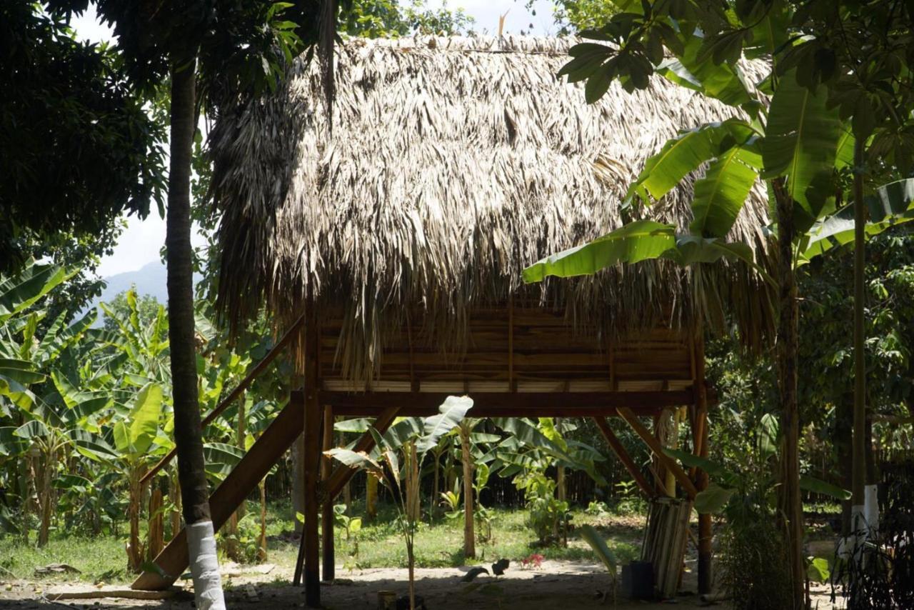 Guachaca La Playitaホステル エクステリア 写真