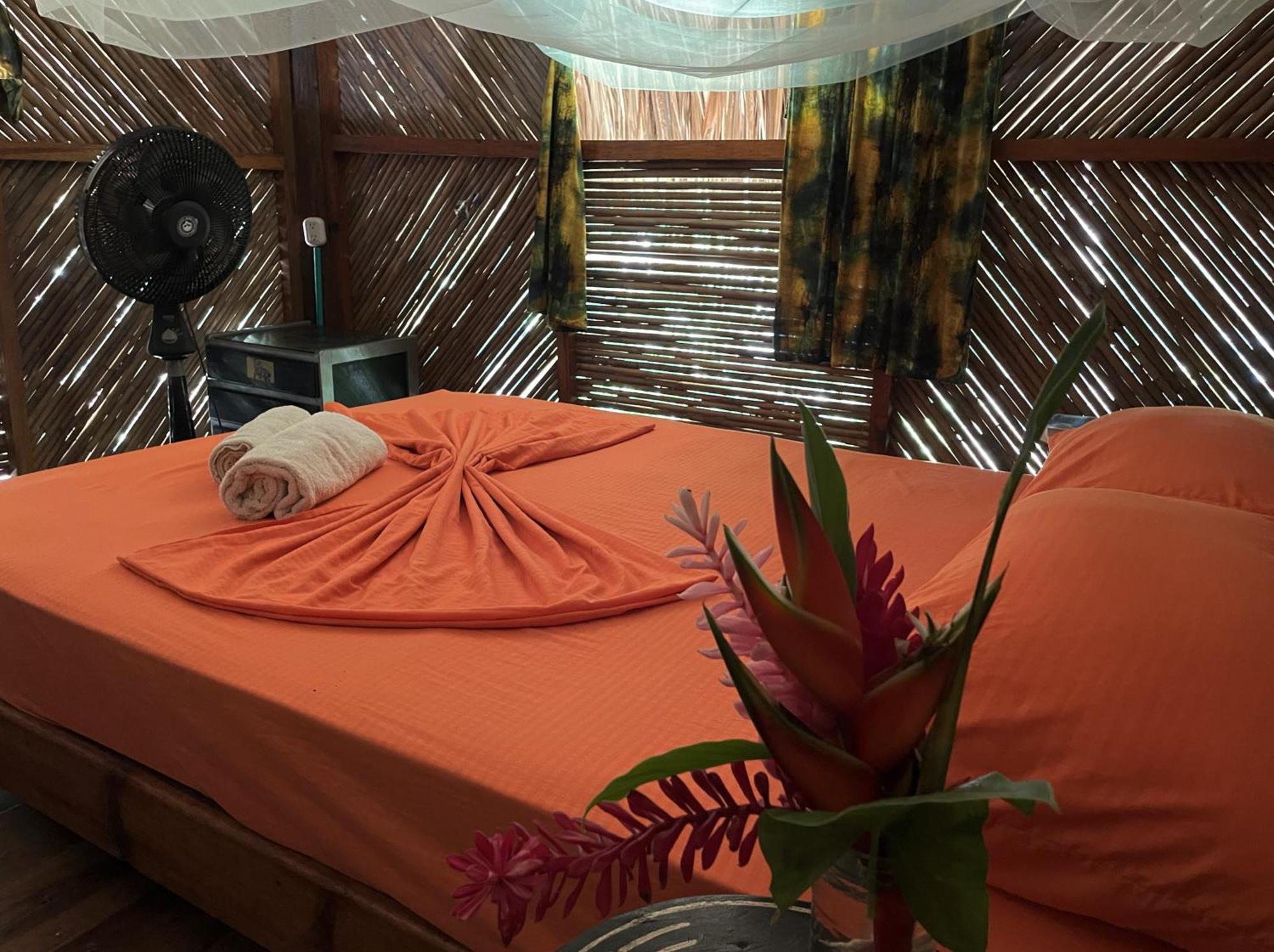 Guachaca La Playitaホステル エクステリア 写真