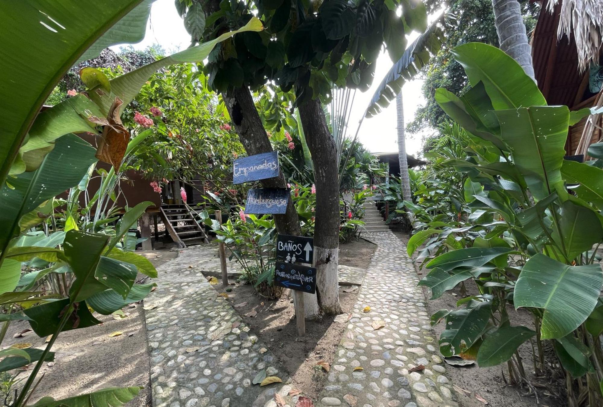 Guachaca La Playitaホステル エクステリア 写真