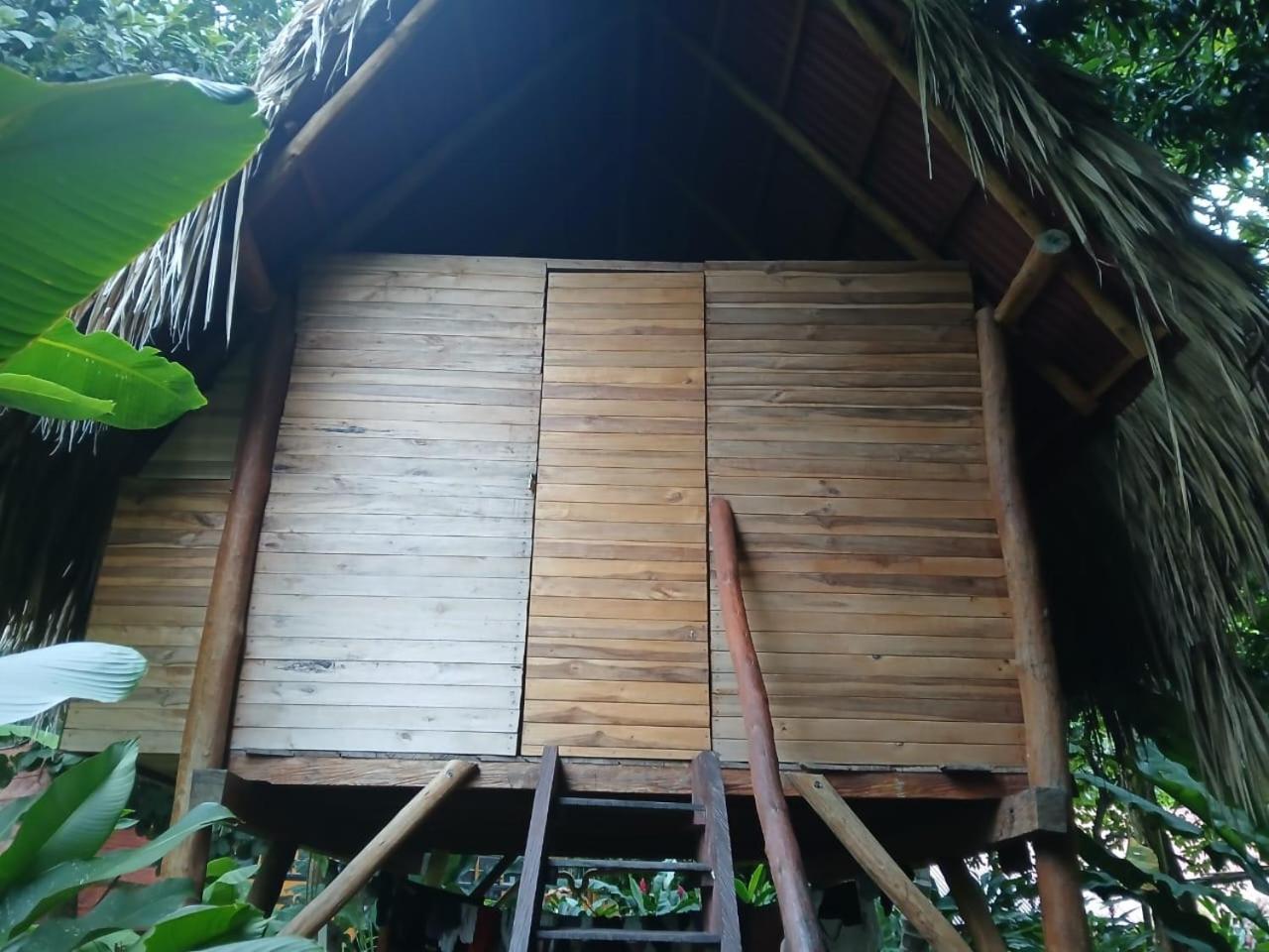 Guachaca La Playitaホステル エクステリア 写真